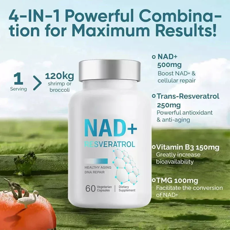 NAD capsule 1 NAD capsule 1
